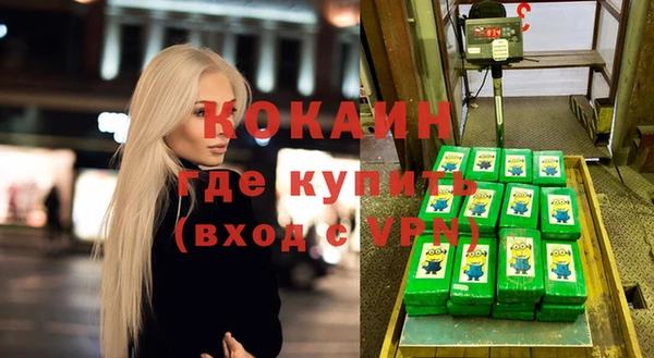 мет Алексин