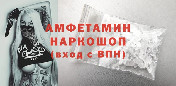 мет Алексин