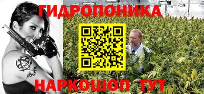 крисы Рыбинск