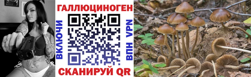 цены   Усинск  Галлюциногенные грибы Psilocybine cubensis 